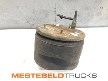 Suspension DAF