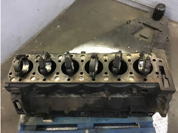 Moteur et pièces pour Camion MAN Motorblok D2066 LF: photos 4