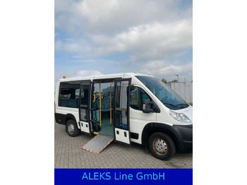 Minibus FIAT Ducato