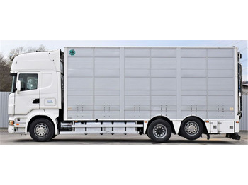 Scania R 500 TIERTRANSPORTWAGEN 7,10m / 4STOCK  en crédit-bail Scania R 500 TIERTRANSPORTWAGEN 7,10m / 4STOCK: photos 3