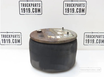 Suspension pneumatique DAF