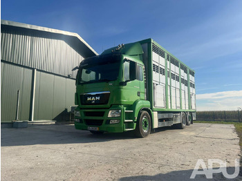 Camion bétaillère MAN TGS 26.440