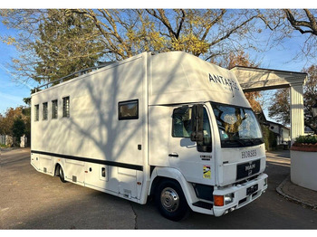 Camion chevaux MAN 10.224