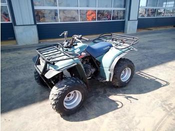 Quadricycle Yamaha Timberwolf: photos 1