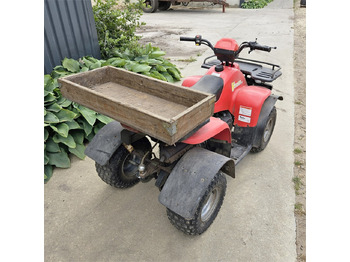 Quadricycle ABC 150 X: photos 5