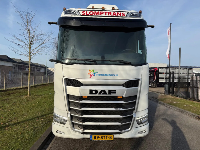DAF XF 480 2023 XG 480 - Tracteur routier: photos 5 DAF XF 480 2023 XG 480 - Tracteur routier: photos 5