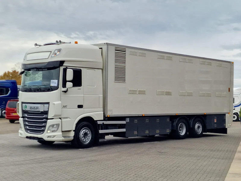 DAF XF 440 SuperSpaceCab 6x2*4 - 2 deck Closed Livestock - 40M2 - Filtersystem - Camion bétaillère: photos 3 DAF XF 440 SuperSpaceCab 6x2*4 - 2 deck Closed Livestock - 40M2 - Filtersystem - Camion bétaillère: photos 3