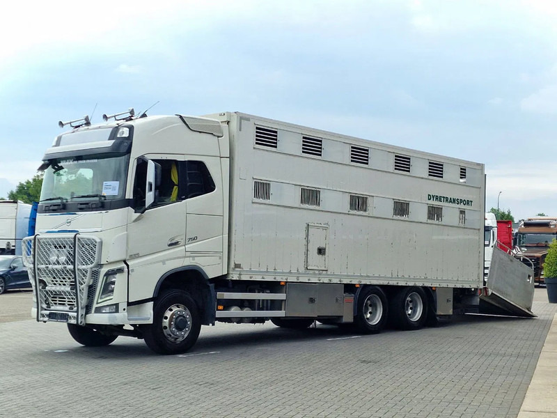 Volvo FH 16.750 6x6/6x4 - Only chassis - VEB + - Full air - Châssis cabine: photos 4 Volvo FH 16.750 6x6/6x4 - Only chassis - VEB + - Full air - Châssis cabine: photos 4