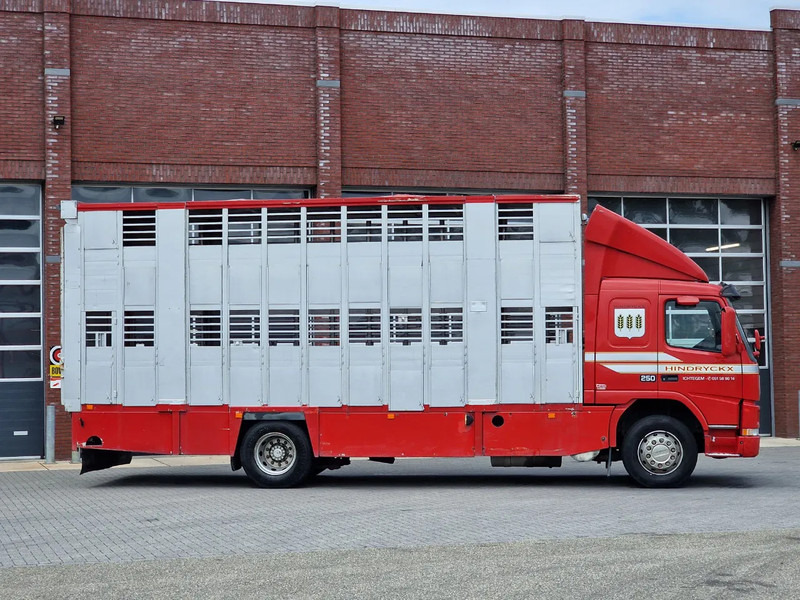 Camion bétaillère Volvo FM 250 4x- Livestock 2 deck - Lifting floors - Loadlift - Manual gearbox: photos 11 Camion bétaillère Volvo FM 250 4x- Livestock 2 deck - Lifting floors - Loadlift - Manual gearbox: photos 11