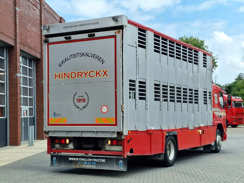 Camion bétaillère Volvo FM 250 4x- Livestock 2 deck - Lifting floors - Loadlift - Manual gearbox: photos 9 Camion bétaillère Volvo FM 250 4x- Livestock 2 deck - Lifting floors - Loadlift - Manual gearbox: photos 9