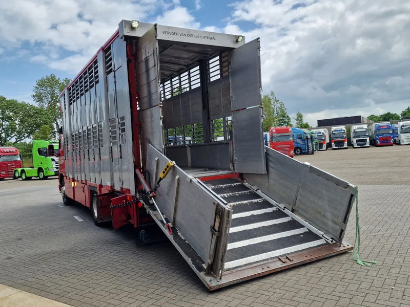 Camion bétaillère Volvo FM 250 4x- Livestock 2 deck - Lifting floors - Loadlift - Manual gearbox: photos 6 Camion bétaillère Volvo FM 250 4x- Livestock 2 deck - Lifting floors - Loadlift - Manual gearbox: photos 6