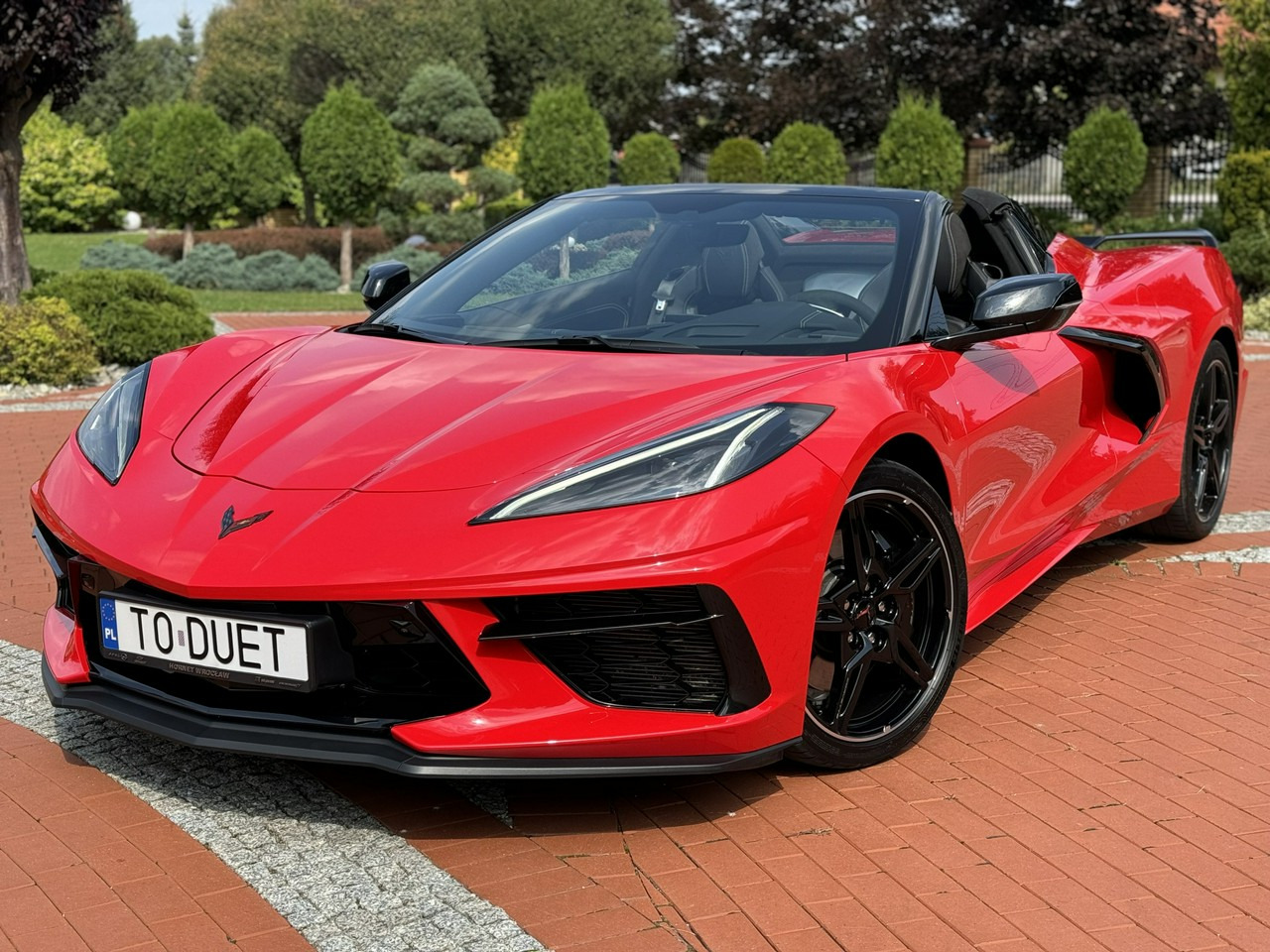 Chevrolet Corvette - Cabriolet: photos 4 Chevrolet Corvette - Cabriolet: photos 4