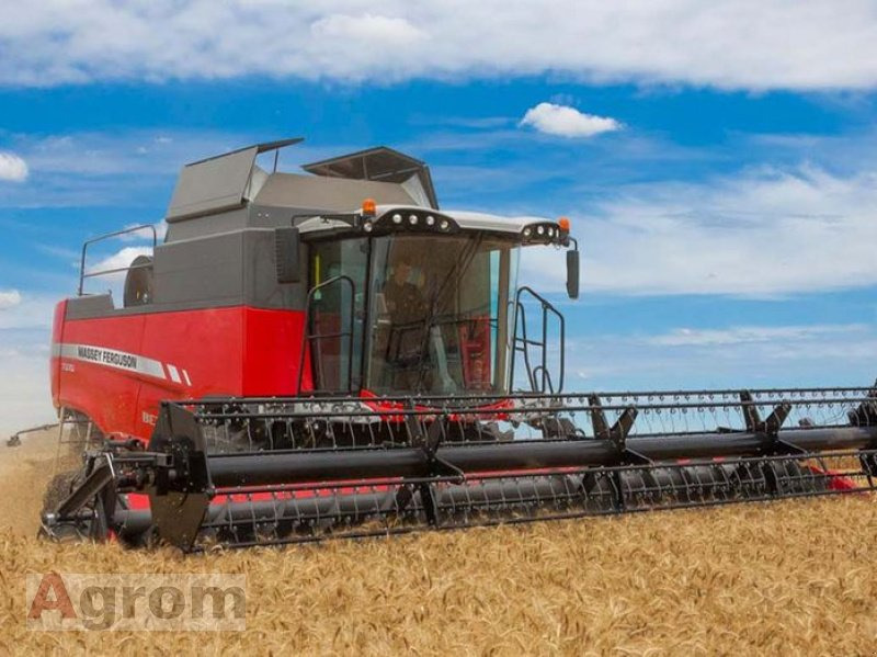 Massey Ferguson 7360 Beta - Moissonneuse-batteuse: photos 2 Massey Ferguson 7360 Beta - Moissonneuse-batteuse: photos 2