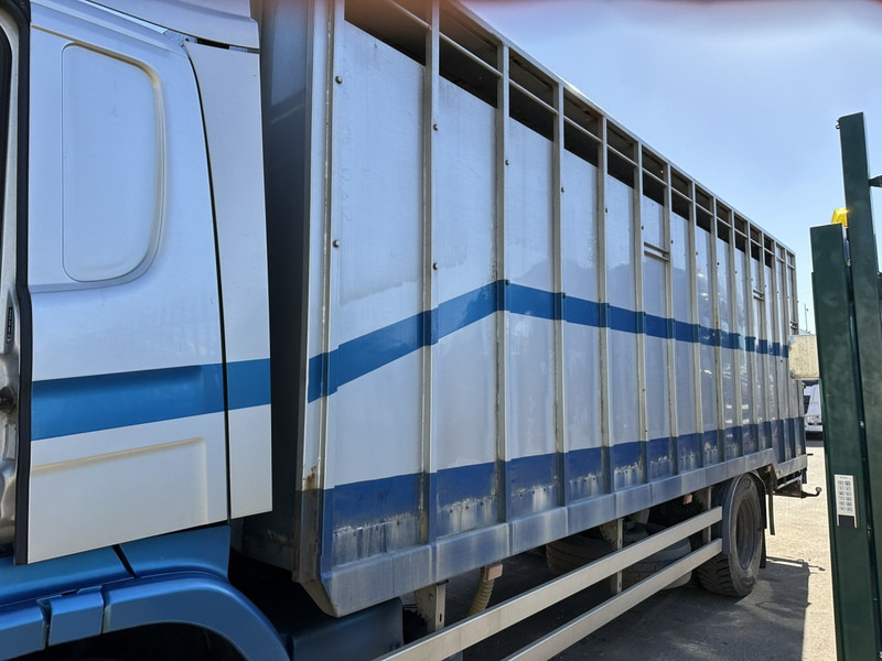 Scania P310 4x2 ANIMAL TRANSPORT - ALU BOX 7m - MANUAL - AIR SUSPENSION - A/C - BELGIAN TRUCK - Camion bétaillère: photos 5 Scania P310 4x2 ANIMAL TRANSPORT - ALU BOX 7m - MANUAL - AIR SUSPENSION - A/C - BELGIAN TRUCK - Camion bétaillère: photos 5