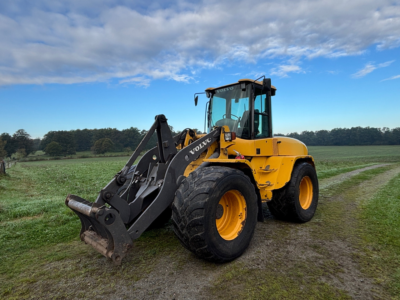 Volvo L45TP/S - Chargeuse sur pneus: photos 1 Volvo L45TP/S - Chargeuse sur pneus: photos 1