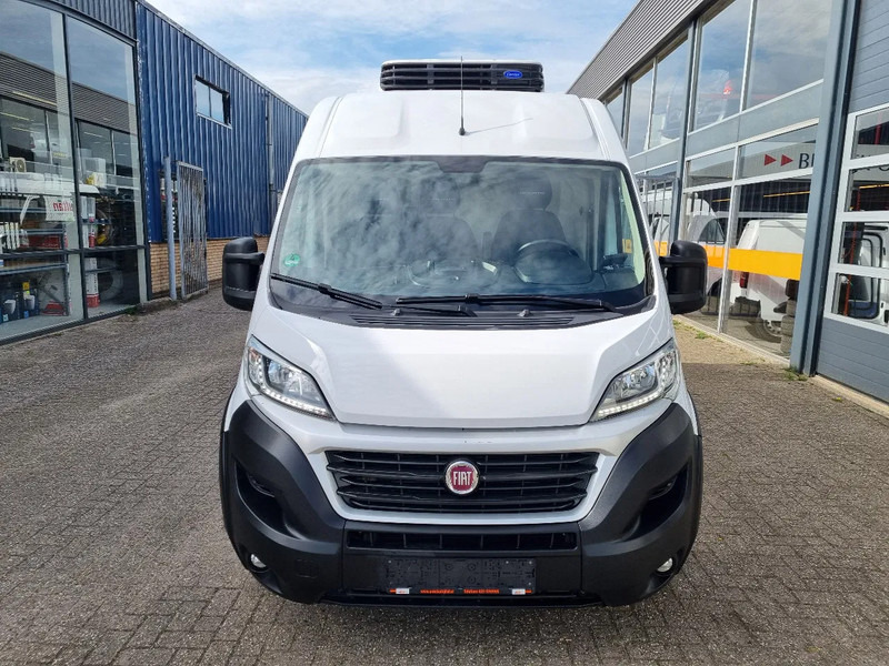 Fiat Ducato Maxi 2.3 JTD Koelwagen Multitemp Xarios 350MT ST 230V (2) - Utilitaire frigorifique: photos 3 Fiat Ducato Maxi 2.3 JTD Koelwagen Multitemp Xarios 350MT ST 230V (2) - Utilitaire frigorifique: photos 3