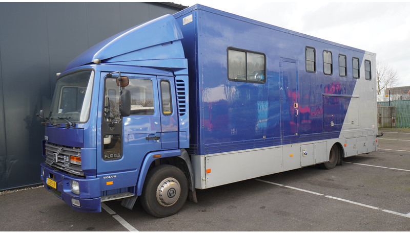 Volvo FL 6-9 HORSE TRANSPORT 341.000KM MANUAL GEARBOX - Camion chevaux: photos 3 Volvo FL 6-9 HORSE TRANSPORT 341.000KM MANUAL GEARBOX - Camion chevaux: photos 3