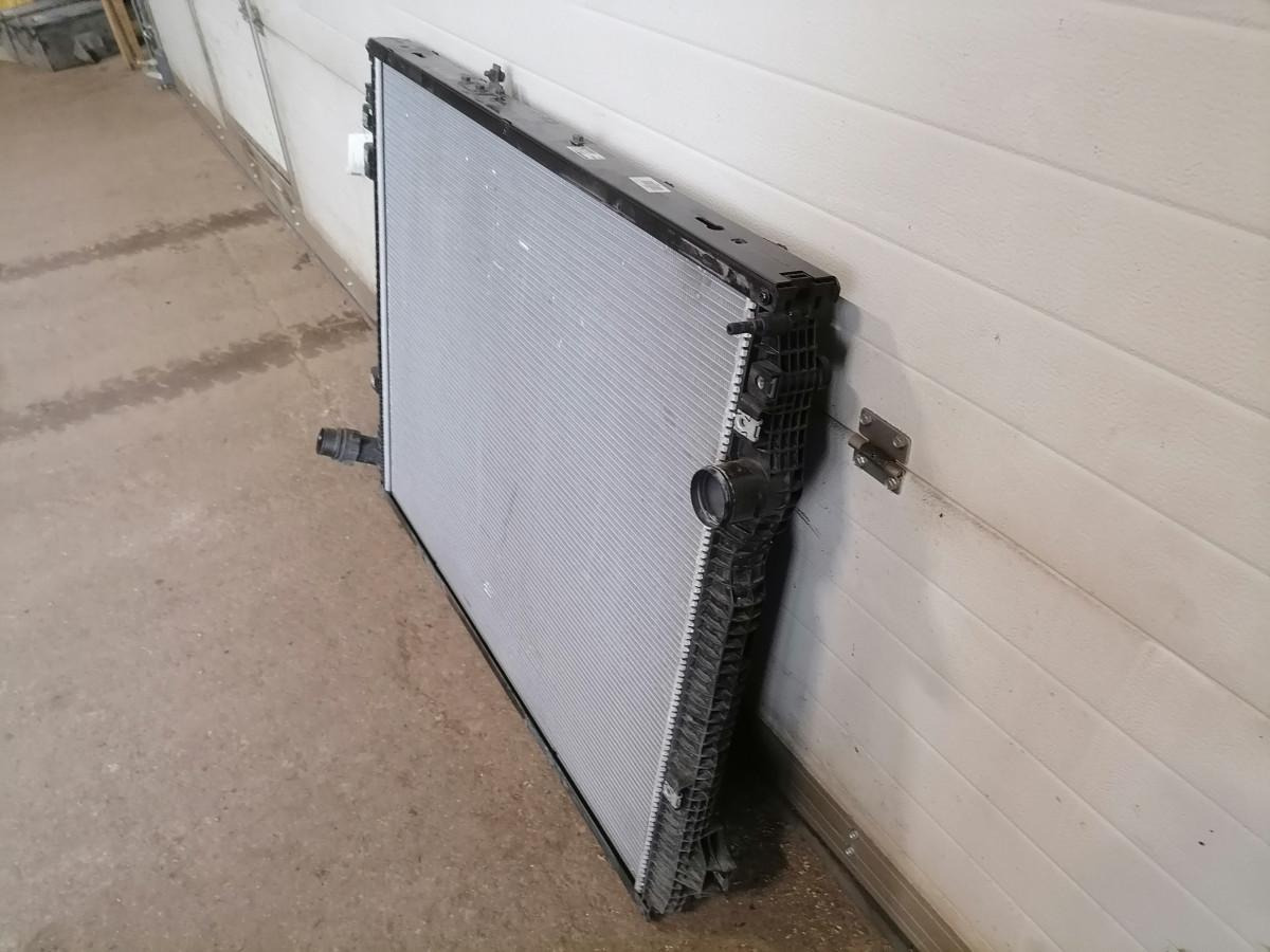 Scania Cooling radiator 3158317 - Radiateur pour Camion: photos 4 Scania Cooling radiator 3158317 - Radiateur pour Camion: photos 4