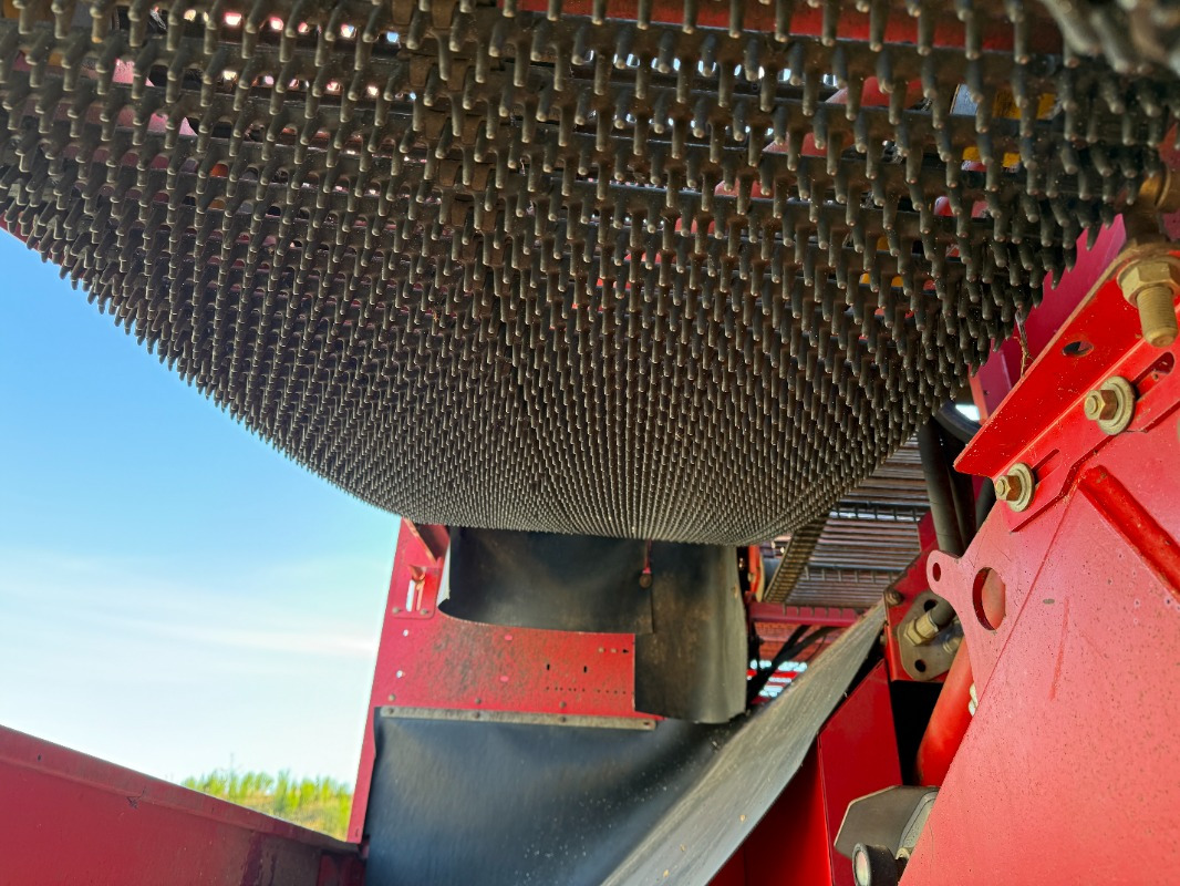Arracheuse de pommes de terre GRIMME SE-150-60-NB: photos 10