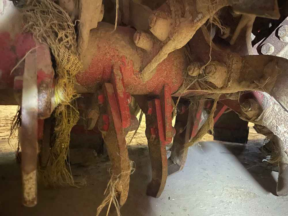 Grimme RT 300 - Matériel de récolte: photos 3 Grimme RT 300 - Matériel de récolte: photos 3