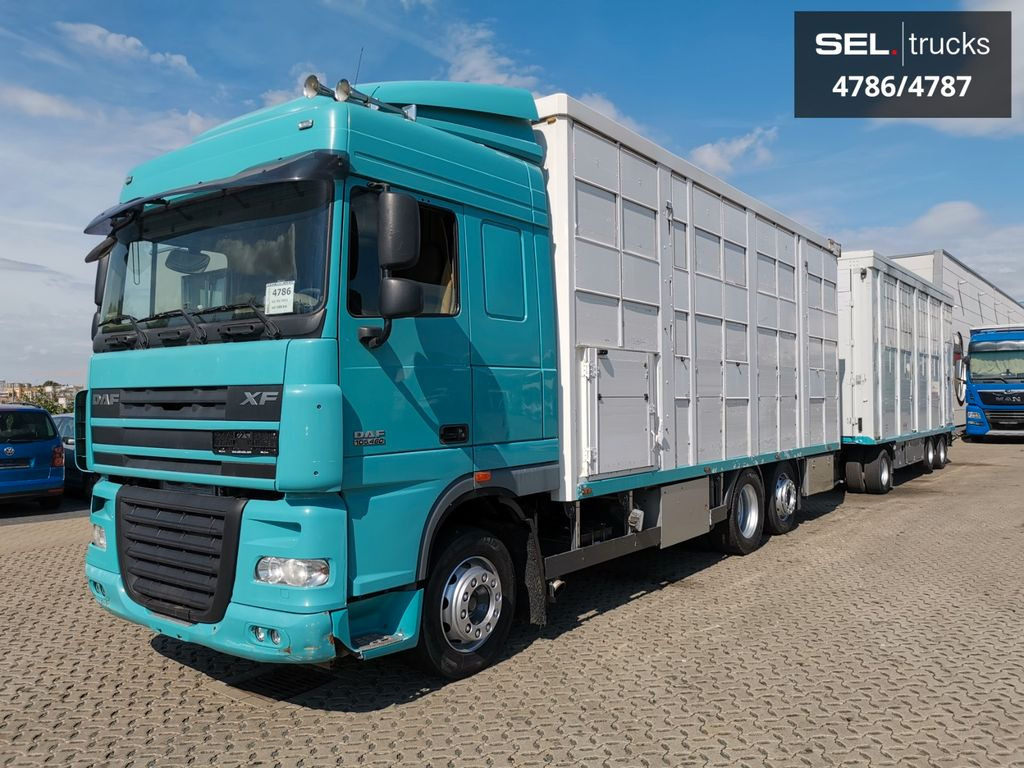 DAF XF 105.460 / Intarder / 4 Stock / KOMPLETT ! DAF XF 105.460 / Intarder / 4 Stock / KOMPLETT ! - Camion bétaillère: photos 2 DAF XF 105.460 / Intarder / 4 Stock / KOMPLETT ! DAF XF 105.460 / Intarder / 4 Stock / KOMPLETT ! - Camion bétaillère: photos 2