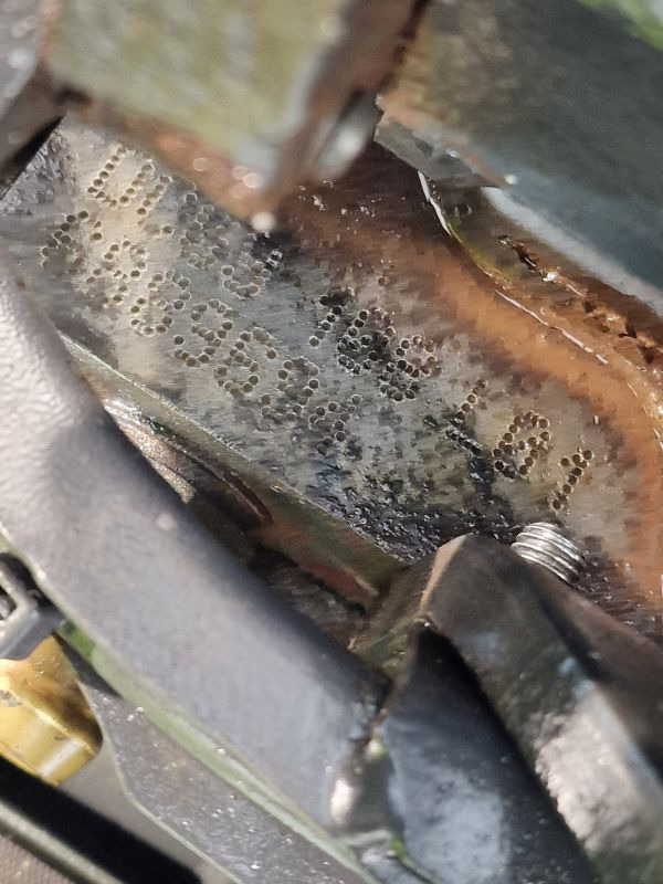 Moteur pour Camion Scania DC09 108 L01 Engine (Truck): photos 11