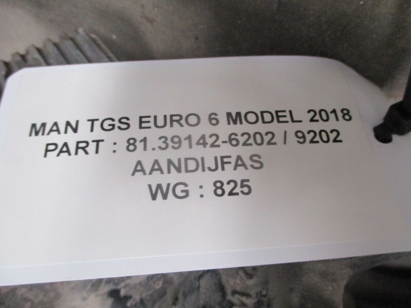 MAN TGS 81.39142-6202 / 9202 AANDRIJFAS EURO 6 MODEL 2019 - Demi arbre pour Camion: photos 2 MAN TGS 81.39142-6202 / 9202 AANDRIJFAS EURO 6 MODEL 2019 - Demi arbre pour Camion: photos 2