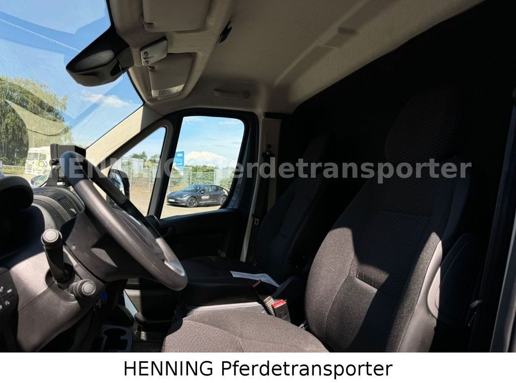 Camion chevaux Opel Movano 3 - Sitzer *AUFBAU NEU*: photos 11