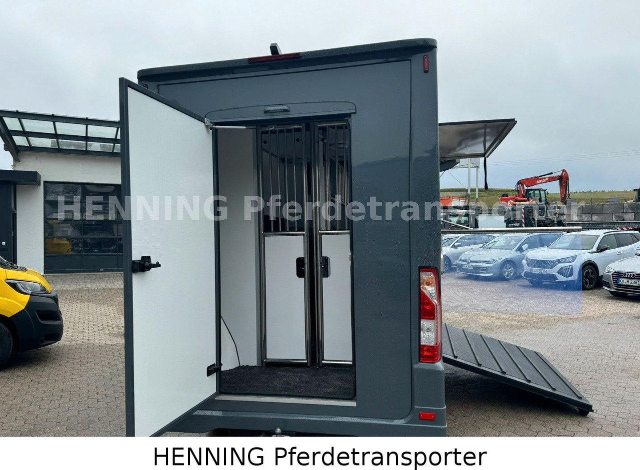 Renault Master 3 - Sitzer *NEUES MODELL* - Camion bétaillère: photos 4 Renault Master 3 - Sitzer *NEUES MODELL* - Camion bétaillère: photos 4