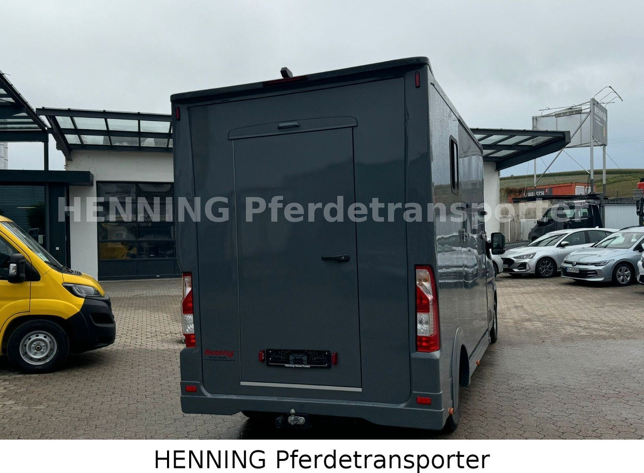 Renault Master 3 - Sitzer *NEUES MODELL* - Camion bétaillère: photos 3 Renault Master 3 - Sitzer *NEUES MODELL* - Camion bétaillère: photos 3