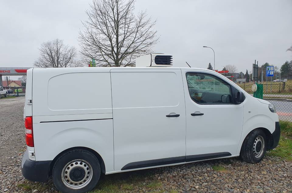Citroen JUMPY CHLODNIA MROZNIA CARRIER+230V KLIMA EURO6 - Utilitaire frigorifique: photos 5 Citroen JUMPY CHLODNIA MROZNIA CARRIER+230V KLIMA EURO6 - Utilitaire frigorifique: photos 5