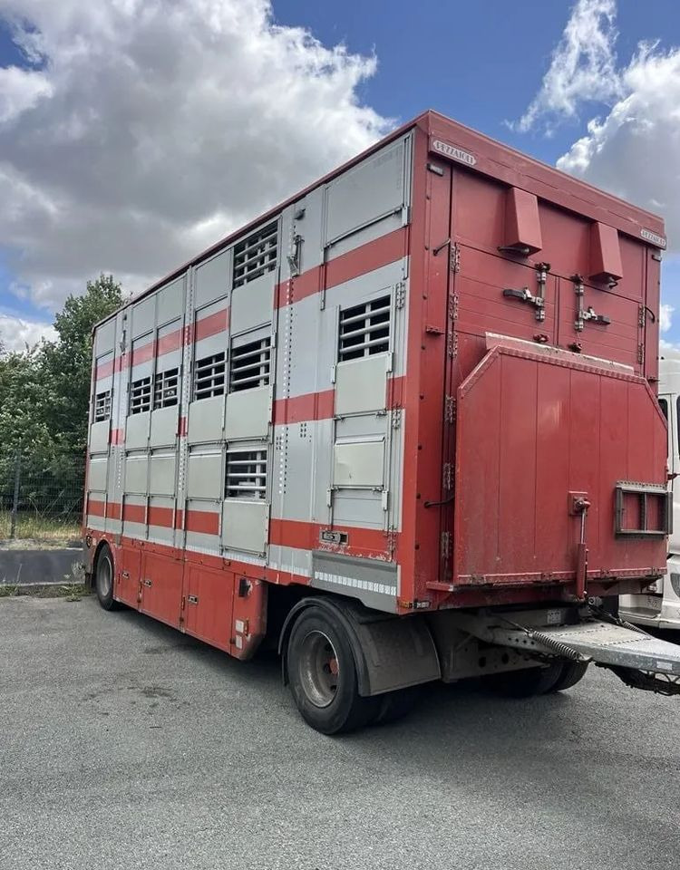 DAF XF 460 + Przyczepa Pezzaoli - 3X Trzoda, 2 X Bydło I 3 poziomy I Podnoszony dach I Hydroburta I Osie Skrętne I Poidła I Wentylatory I Pilot Manualny | Euro5 - Camion bétaillère: photos 3 DAF XF 460 + Przyczepa Pezzaoli - 3X Trzoda, 2 X Bydło I 3 poziomy I Podnoszony dach I Hydroburta I Osie Skrętne I Poidła I Wentylatory I Pilot Manualny | Euro5 - Camion bétaillère: photos 3