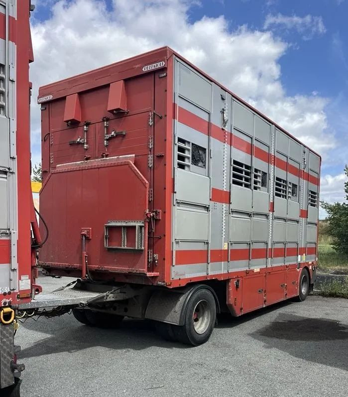 DAF XF 460 + Przyczepa Pezzaoli - 3X Trzoda, 2 X Bydło I 3 poziomy I Podnoszony dach I Hydroburta I Osie Skrętne I Poidła I Wentylatory I Pilot Manualny | Euro5 - Camion bétaillère: photos 4 DAF XF 460 + Przyczepa Pezzaoli - 3X Trzoda, 2 X Bydło I 3 poziomy I Podnoszony dach I Hydroburta I Osie Skrętne I Poidła I Wentylatory I Pilot Manualny | Euro5 - Camion bétaillère: photos 4