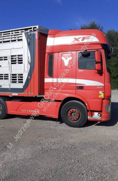 DAF XF - Camion bétaillère: photos 2 DAF XF - Camion bétaillère: photos 2