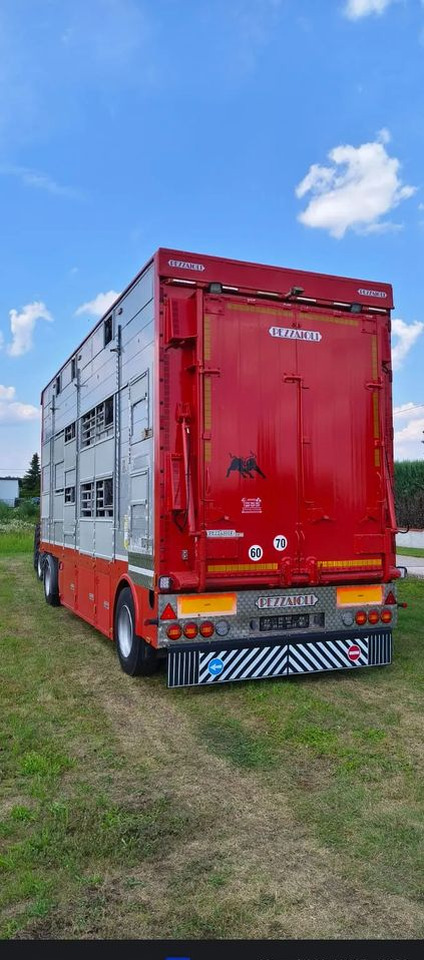 Pezzaioli RBA22 Dwuosiowa Przyczepa – 2x Bydło, 3x Trzoda – 2017r – Bezwypadkowa! - Remorque bétaillère: photos 4 Pezzaioli RBA22 Dwuosiowa Przyczepa – 2x Bydło, 3x Trzoda – 2017r – Bezwypadkowa! - Remorque bétaillère: photos 4