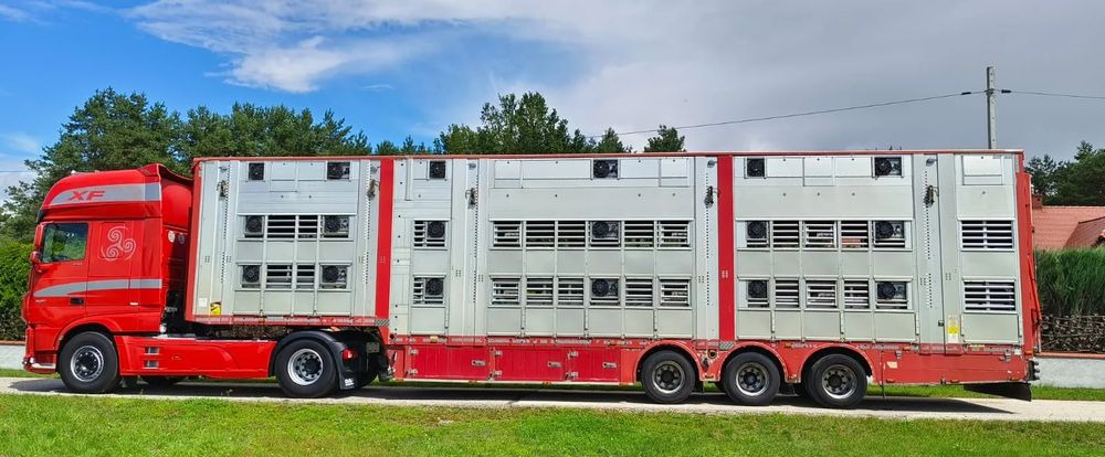 Pezzaioli SBA32/hydrauliczny dach/hydrauliczna rampa/ 3 poziomy/ 2xbydło -3xtrzoda/wentylatory/poidła/sterowanie pilotem - Semi-remorque bétaillère: photos 2 Pezzaioli SBA32/hydrauliczny dach/hydrauliczna rampa/ 3 poziomy/ 2xbydło -3xtrzoda/wentylatory/poidła/sterowanie pilotem - Semi-remorque bétaillère: photos 2