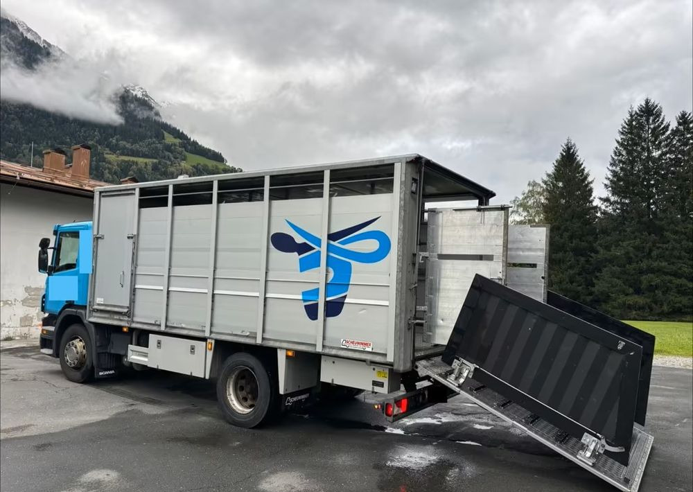 Scania P280 4x2 – Pojazd do przewozu zwierząt VIEHFAHRZEUG / jednopoziomowy – 171.000 km!! – Euro 5 - Camion bétaillère: photos 5 Scania P280 4x2 – Pojazd do przewozu zwierząt VIEHFAHRZEUG / jednopoziomowy – 171.000 km!! – Euro 5 - Camion bétaillère: photos 5
