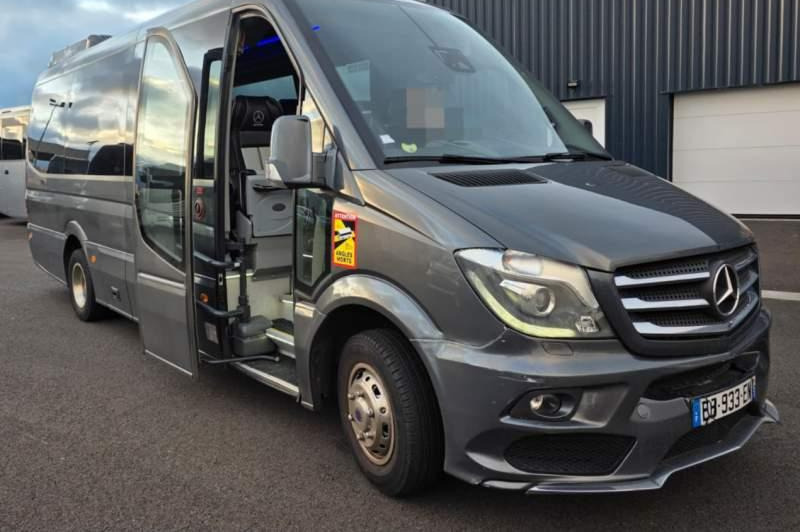 Mercedes-Benz SPRINTER 516 BLUETEC / SPROWADZONY / 86 000 KM - Minibus, Transport de personnes: photos 1 Mercedes-Benz SPRINTER 516 BLUETEC / SPROWADZONY / 86 000 KM - Minibus, Transport de personnes: photos 1