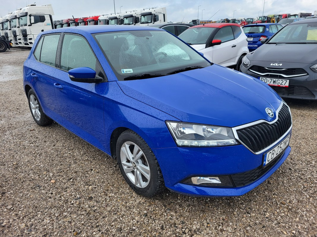 Voiture à hayon SKODA FABIA HATCHBACK: photos 1