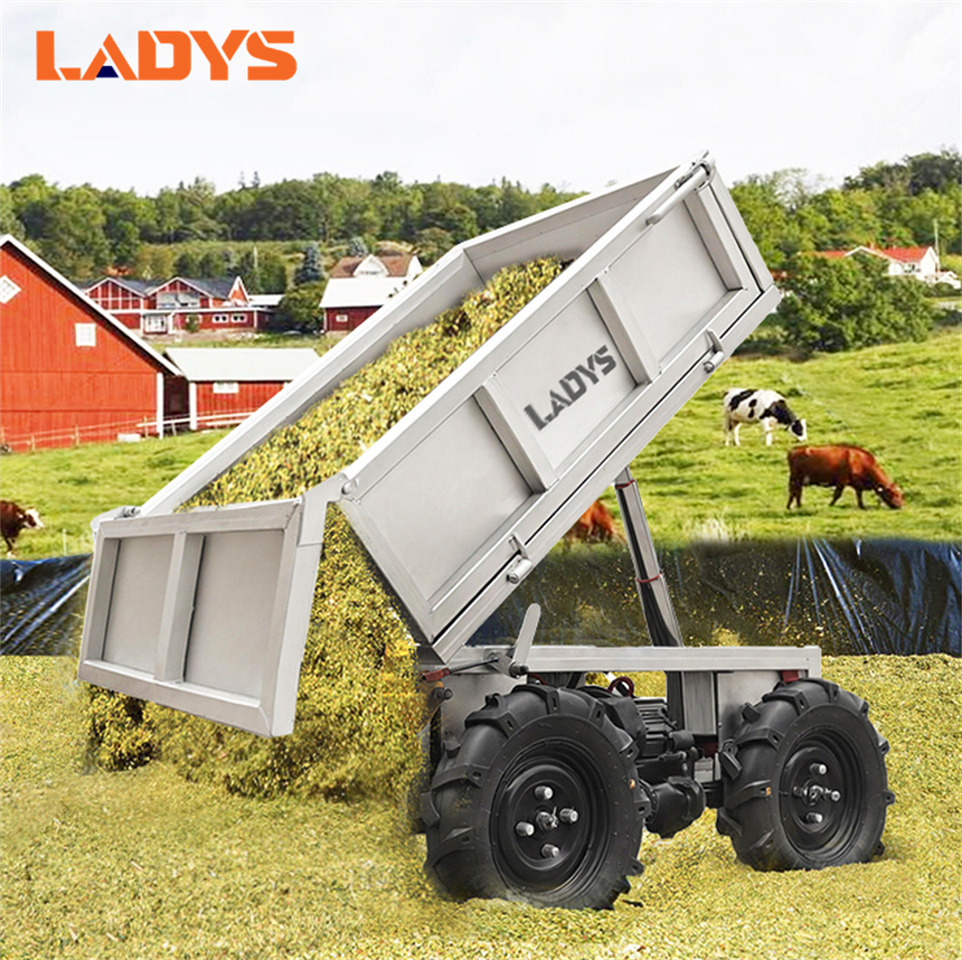 LADYS D-600 All-Terrain Four-Wheel Drive And Eight-Wheel Drive Transport Truck, Mountain Area Farm Orchard Greenhouse Construction Site Creeper Remote Control Electric Agricultural Transport Vehicle - Quadricycle: photos 3 LADYS D-600 All-Terrain Four-Wheel Drive And Eight-Wheel Drive Transport Truck, Mountain Area Farm Orchard Greenhouse Construction Site Creeper Remote Control Electric Agricultural Transport Vehicle - Quadricycle: photos 3