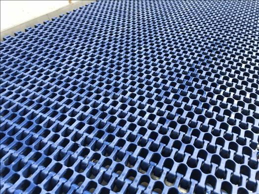 NNP Stainless conveyor - Convoyeur: photos 5 NNP Stainless conveyor - Convoyeur: photos 5