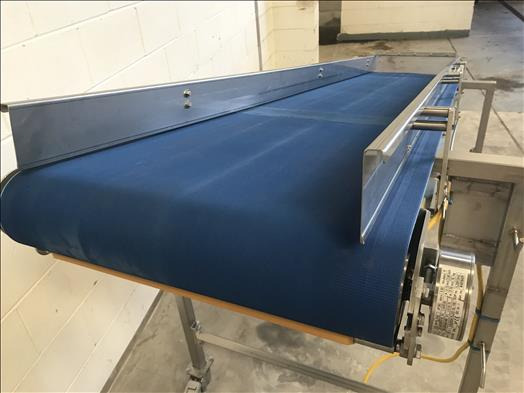 NNP Stainless conveyor - Convoyeur: photos 3 NNP Stainless conveyor - Convoyeur: photos 3