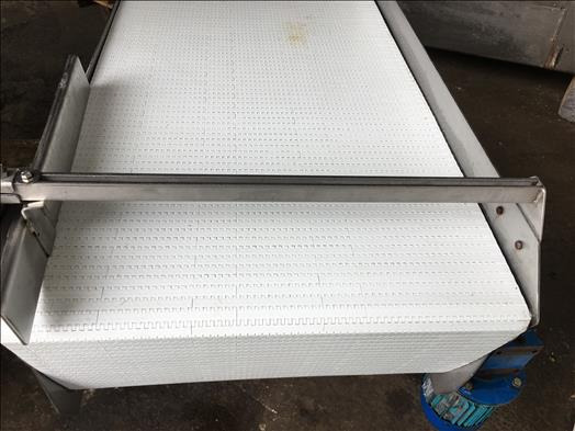 NNP stainless conveyor - Convoyeur: photos 4 NNP stainless conveyor - Convoyeur: photos 4