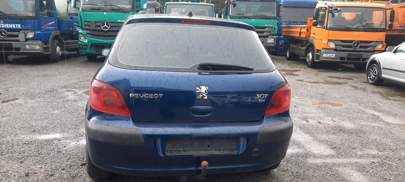 Peugeot 307 Grand Filou - Voiture à hayon: photos 4 Peugeot 307 Grand Filou - Voiture à hayon: photos 4