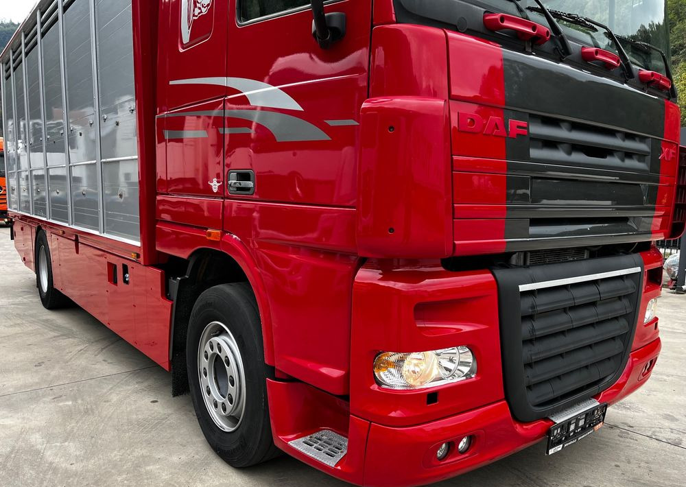 DAF XF 105.460 Euro 5 // Manual // Retarder // Do Żywca / Bydła / Zwierząt / - Camion bétaillère: photos 3 DAF XF 105.460 Euro 5 // Manual // Retarder // Do Żywca / Bydła / Zwierząt / - Camion bétaillère: photos 3