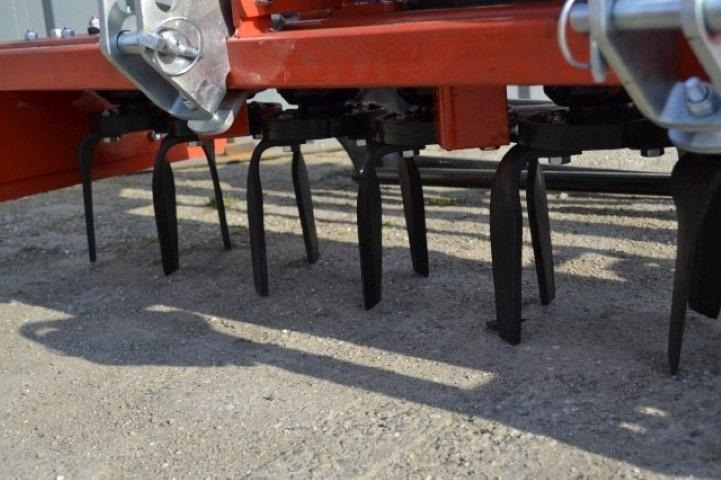 - - - boxer - Herse: photos 4 - - - boxer - Herse: photos 4