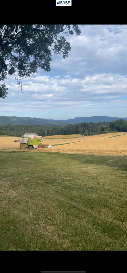 Moissonneuse-batteuse 1993 Claas Commandor 228 CS: photos 6