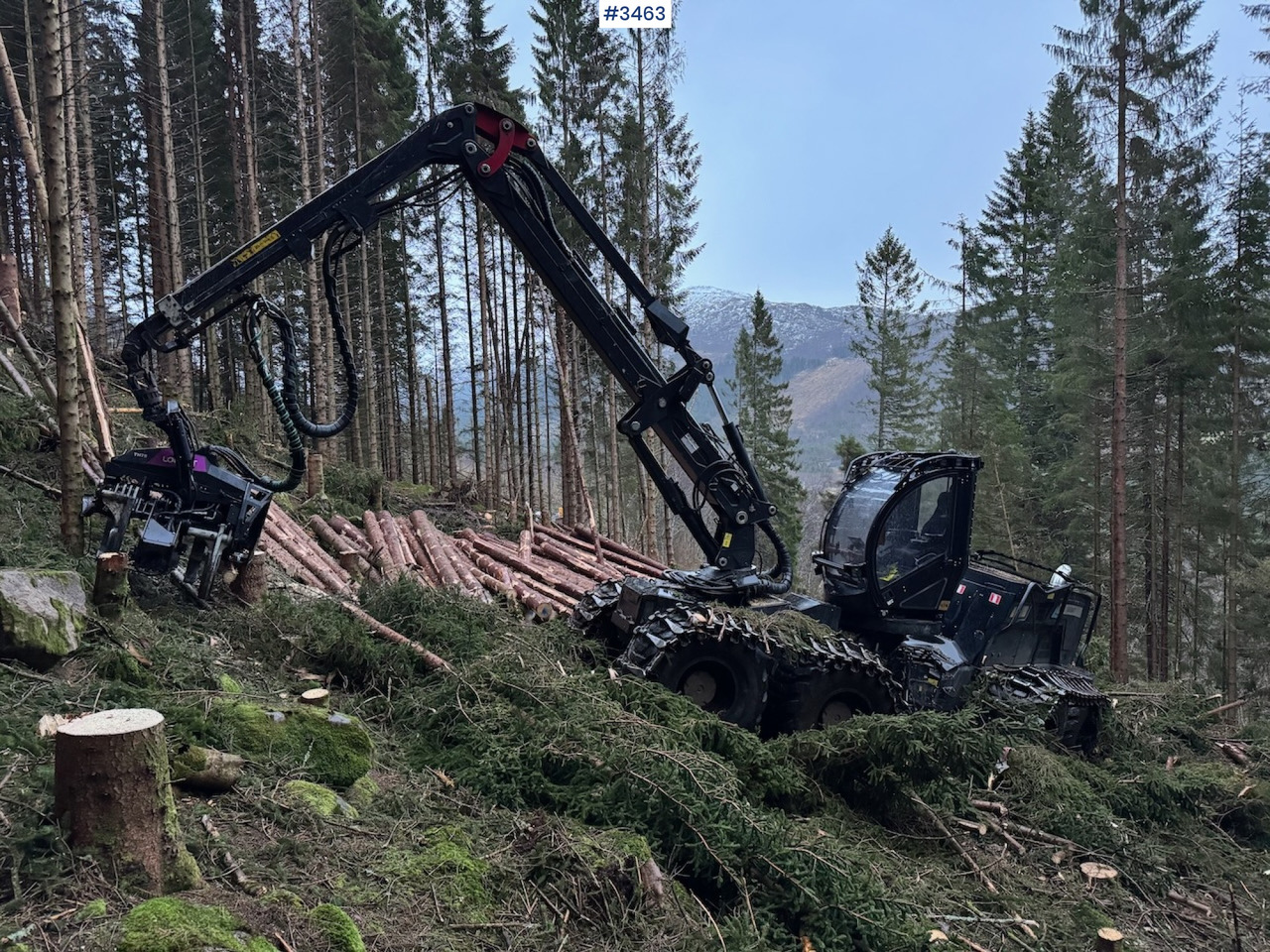 2022 Logset 12H GTE - Abatteuse: photos 5 2022 Logset 12H GTE - Abatteuse: photos 5