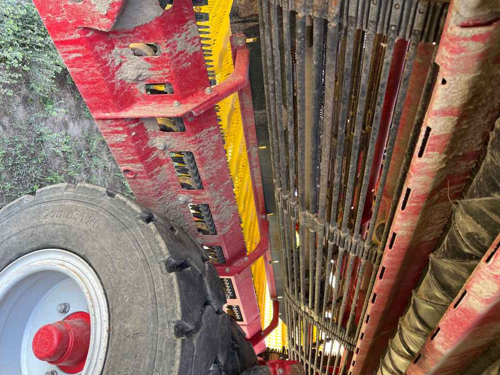 Arracheuse de pommes de terre Grimme VARITRON 470: photos 15