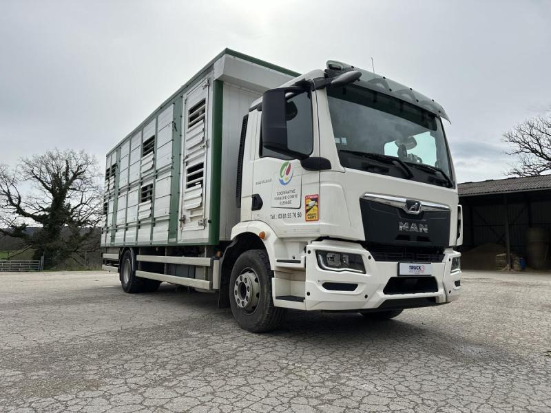 MAN M 90 15.290 TGM - Camion bétaillère: photos 4 MAN M 90 15.290 TGM - Camion bétaillère: photos 4